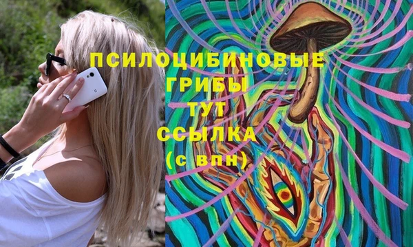 дмт Аркадак