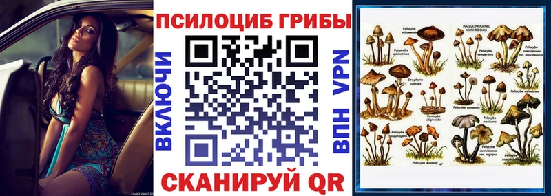 наркошоп  Усинск  Псилоцибиновые грибы мицелий 